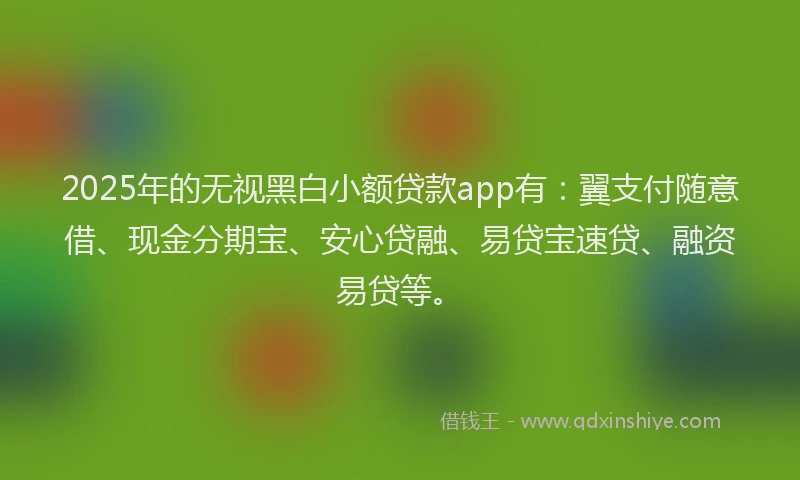2025年的无视黑白小额贷款app有：翼支付随意借、现金分期宝、安心贷融、易贷宝速贷、融资易贷等。