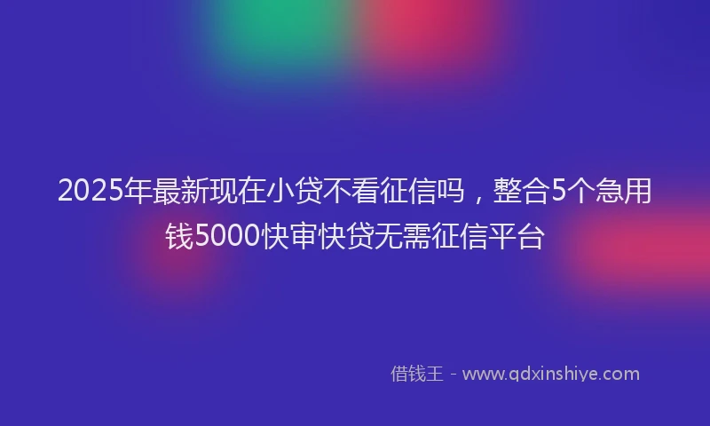 2025年最新现在小贷不看征信吗，整合5个急用钱5000快审快贷无需征信平台
