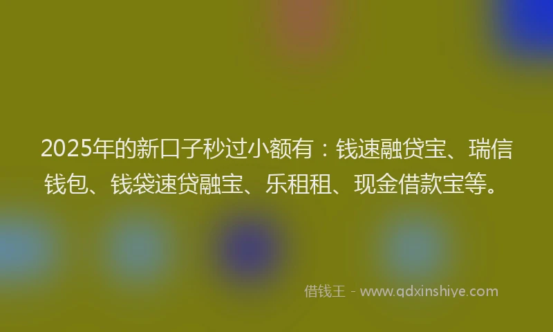 2025年的新口子秒过小额有：钱速融贷宝、瑞信钱包、钱袋速贷融宝、乐租租、现金借款宝等。