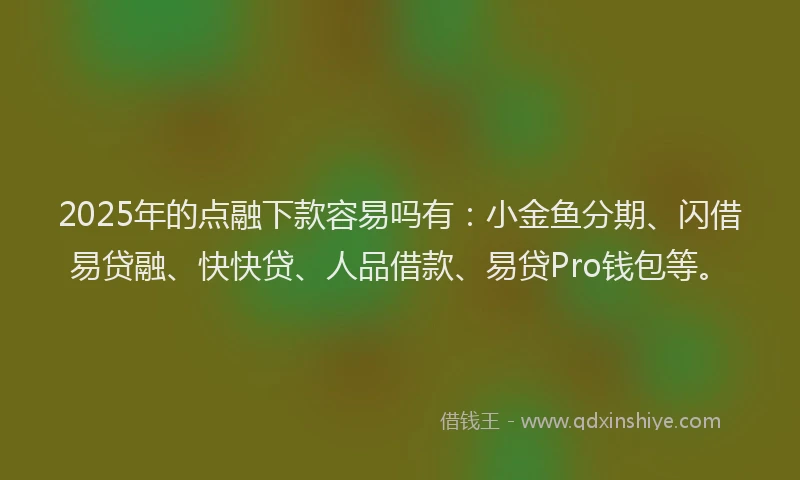 2025年的点融下款容易吗有：小金鱼分期、闪借易贷融、快快贷、人品借款、易贷Pro钱包等。