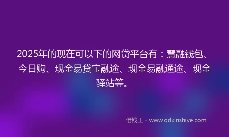 2025年的现在可以下的网贷平台有：慧融钱包、今日购、现金易贷宝融途、现金易融通途、现金驿站等。