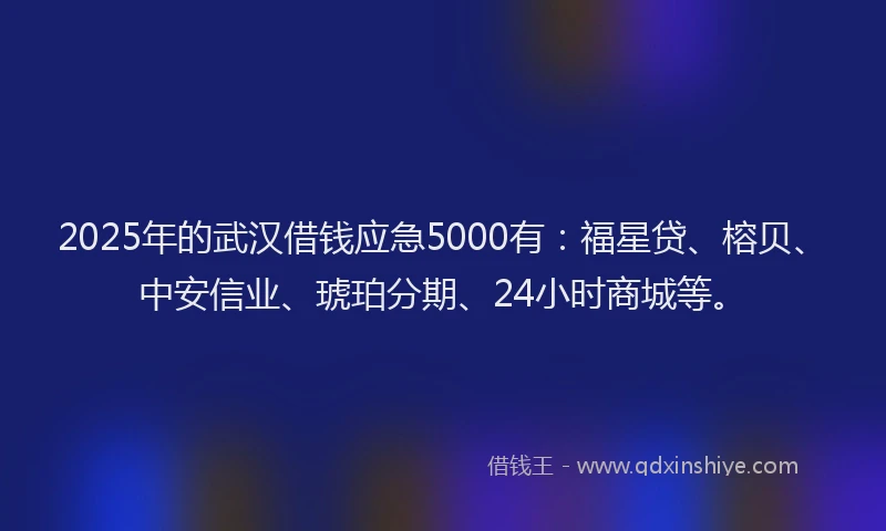 2025年的武汉借钱应急5000有：福星贷、榕贝、中安信业、琥珀分期、24小时商城等。