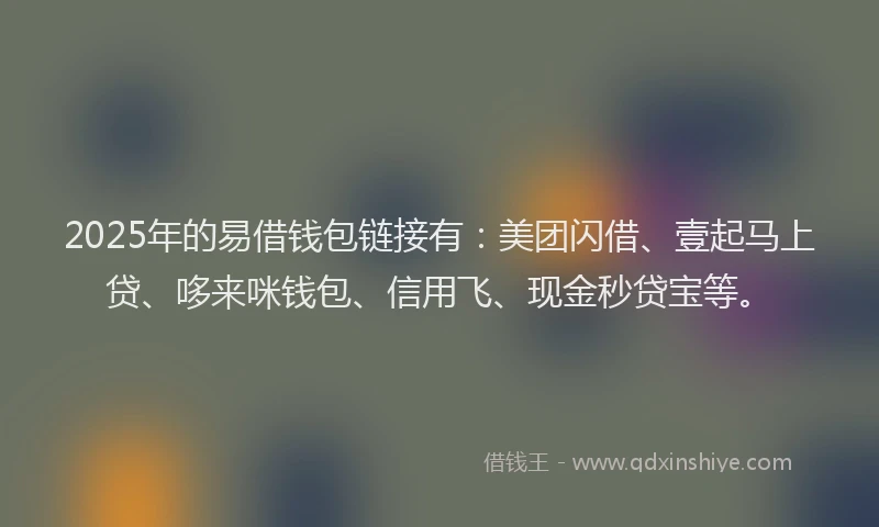 2025年的易借钱包链接有：美团闪借、壹起马上贷、哆来咪钱包、信用飞、现金秒贷宝等。