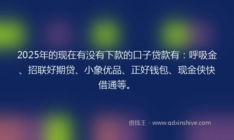 2025年的现在有没有下款的口子贷款有：呼吸金、招联好期贷、小象优品、正好钱包、现金侠快借通等。