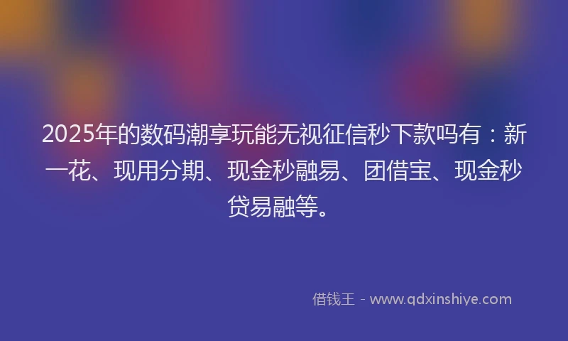 2025年的数码潮享玩能无视征信秒下款吗有：新一花、现用分期、现金秒融易、团借宝、现金秒贷易融等。