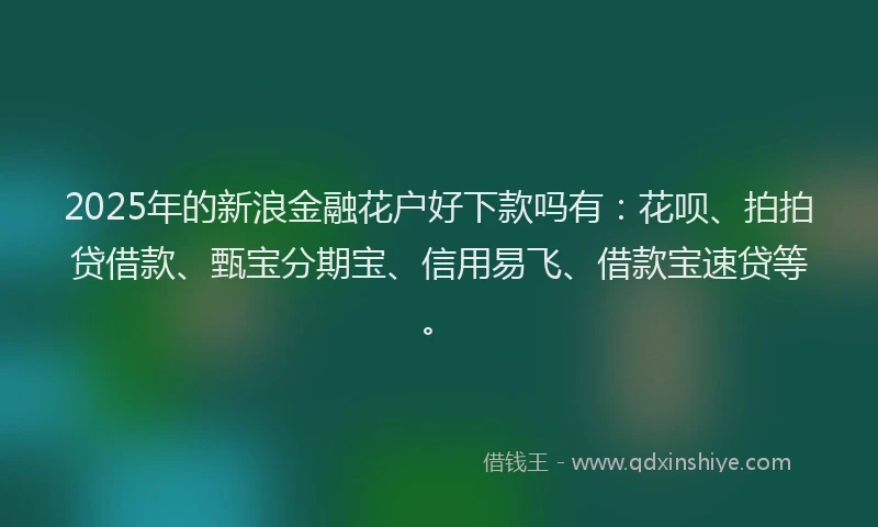 2025年的新浪金融花户好下款吗有：花呗、拍拍贷借款、甄宝分期宝、信用易飞、借款宝速贷等。