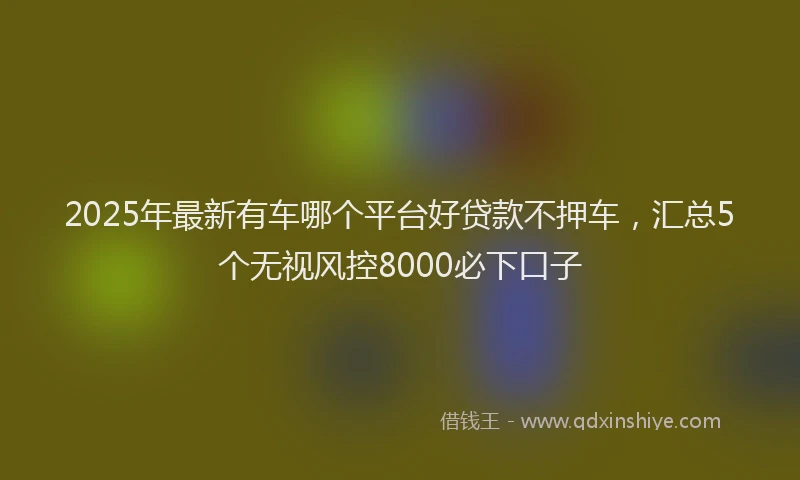 2025年最新有车哪个平台好贷款不押车，汇总5个无视风控8000必下口子