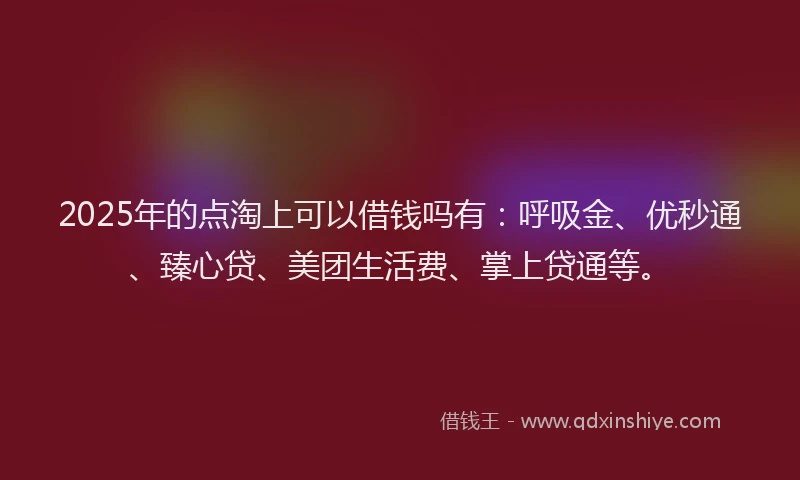 2025年的点淘上可以借钱吗有：呼吸金、优秒通、臻心贷、美团生活费、掌上贷通等。