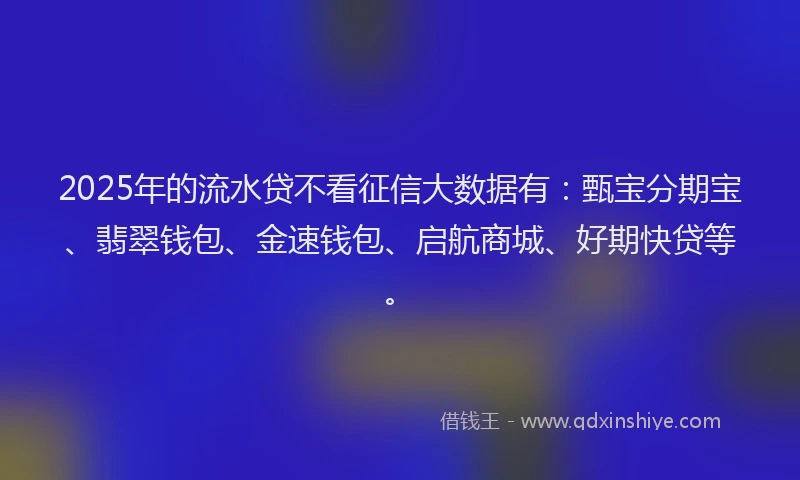 2025年的流水贷不看征信大数据有：甄宝分期宝、翡翠钱包、金速钱包、启航商城、好期快贷等。