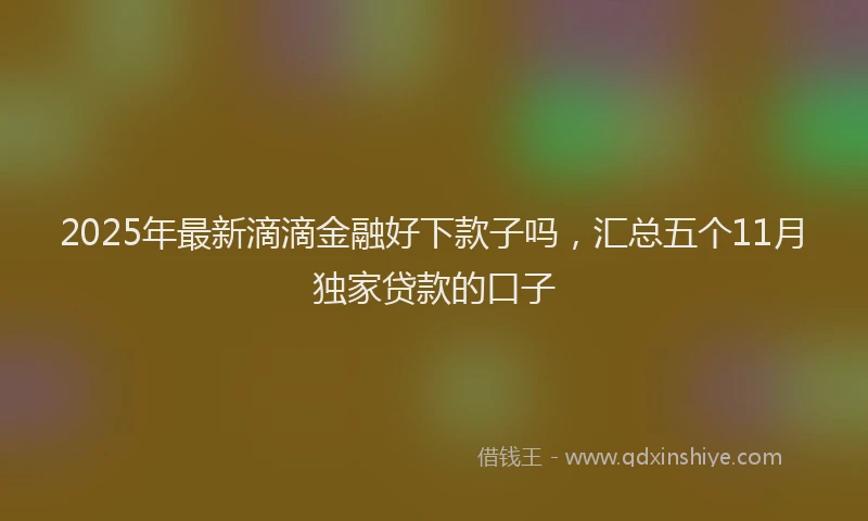 2025年最新滴滴金融好下款子吗，汇总五个11月独家贷款的口子