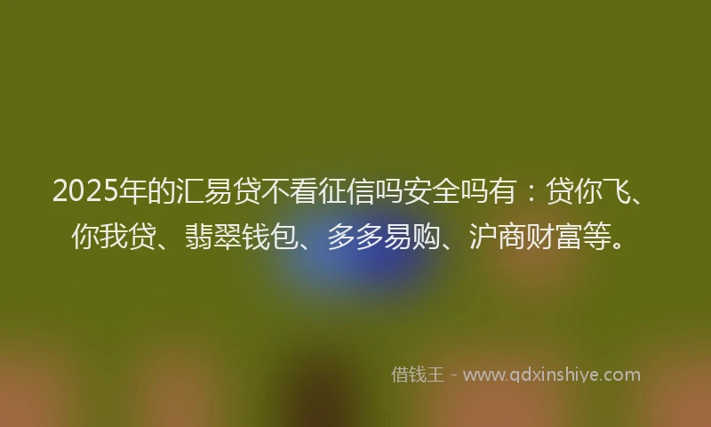 2025年的汇易贷不看征信吗安全吗有：贷你飞、你我贷、翡翠钱包、多多易购、沪商财富等。