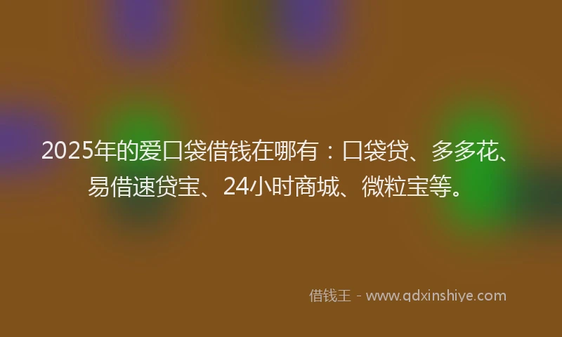 2025年的爱口袋借钱在哪有：口袋贷、多多花、易借速贷宝、24小时商城、微粒宝等。