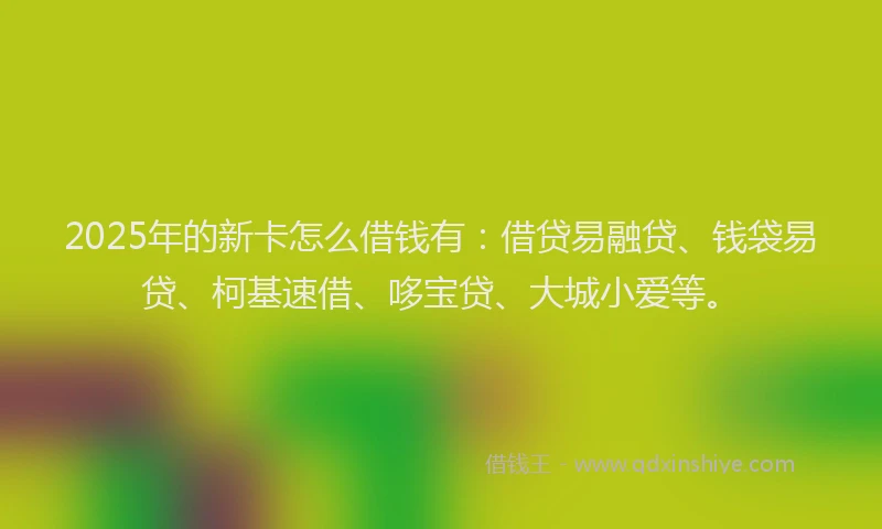 2025年的新卡怎么借钱有：借贷易融贷、钱袋易贷、柯基速借、哆宝贷、大城小爱等。
