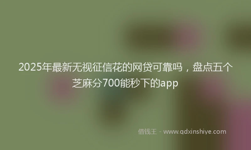 2025年最新无视征信花的网贷可靠吗，盘点五个芝麻分700能秒下的app