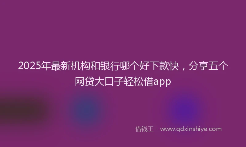 2025年最新机构和银行哪个好下款快，分享五个网贷大口子轻松借app