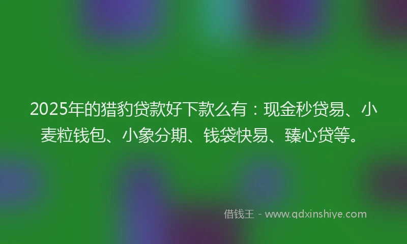 2025年的猎豹贷款好下款么有：现金秒贷易、小麦粒钱包、小象分期、钱袋快易、臻心贷等。