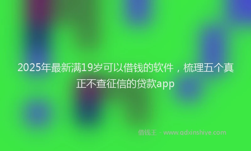 2025年最新满19岁可以借钱的软件，梳理五个真正不查征信的贷款app