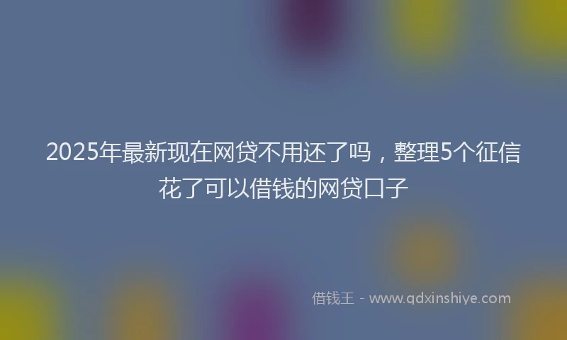 2025年最新现在网贷不用还了吗，整理5个征信花了可以借钱的网贷口子