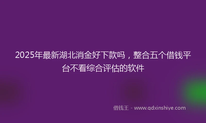 2025年最新湖北消金好下款吗，整合五个借钱平台不看综合评估的软件