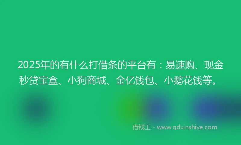 2025年的有什么打借条的平台有：易速购、现金秒贷宝盒、小狗商城、金亿钱包、小鹅花钱等。