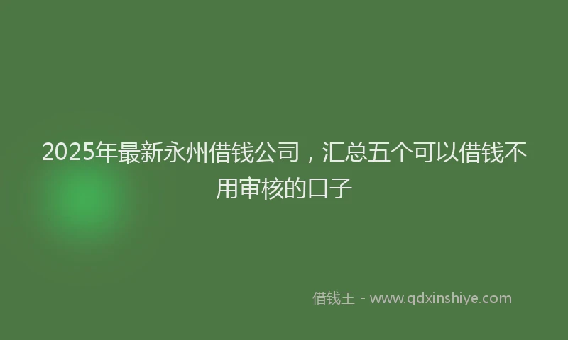 2025年最新永州借钱公司，汇总五个可以借钱不用审核的口子