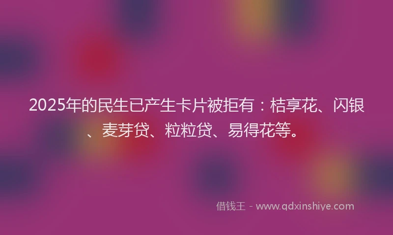 2025年的民生已产生卡片被拒有：桔享花、闪银、麦芽贷、粒粒贷、易得花等。