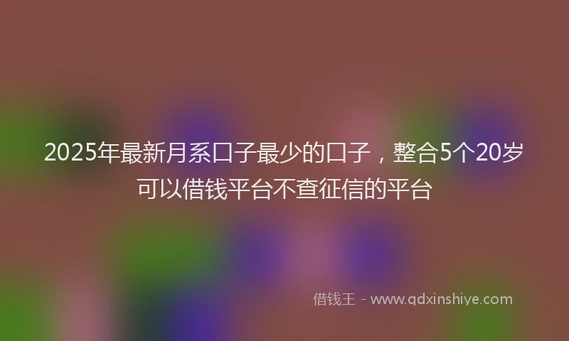 2025年最新月系口子最少的口子，整合5个20岁可以借钱平台不查征信的平台
