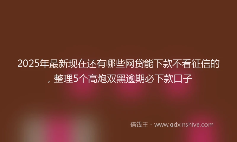 2025年最新现在还有哪些网贷能下款不看征信的，整理5个高炮双黑逾期必下款口子