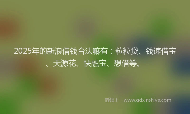 2025年的新浪借钱合法嘛有：粒粒贷、钱速借宝、天源花、快融宝、想借等。