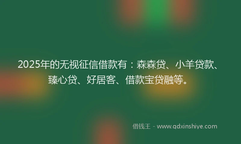 2025年的无视征信借款有：森森贷、小羊贷款、臻心贷、好居客、借款宝贷融等。