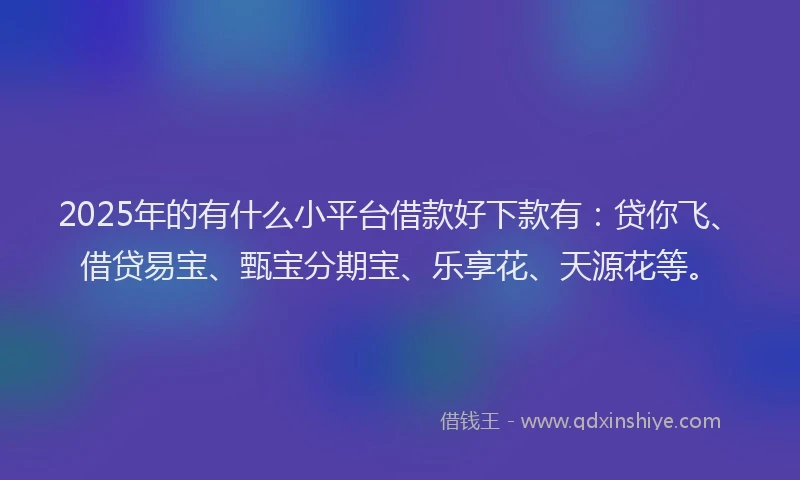 2025年的有什么小平台借款好下款有：贷你飞、借贷易宝、甄宝分期宝、乐享花、天源花等。