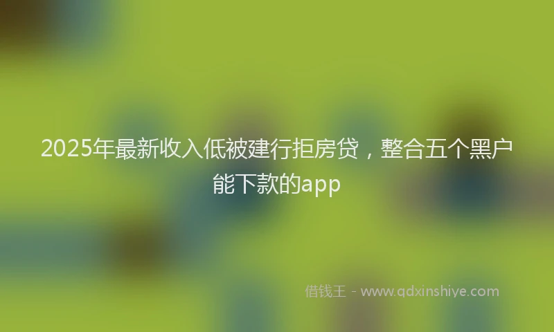 2025年最新收入低被建行拒房贷，整合五个黑户能下款的app
