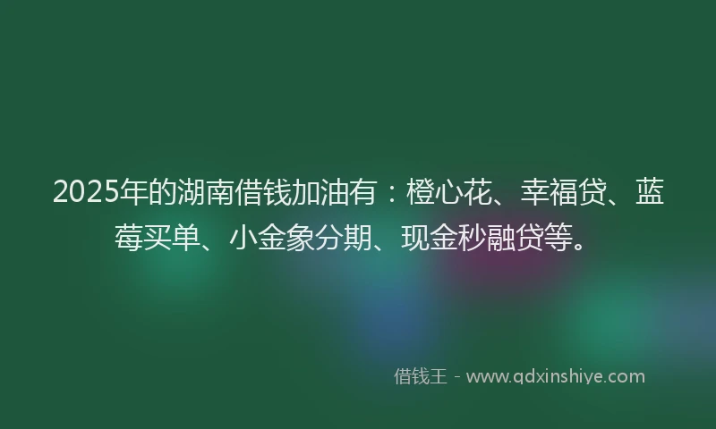 2025年的湖南借钱加油有：橙心花、幸福贷、蓝莓买单、小金象分期、现金秒融贷等。