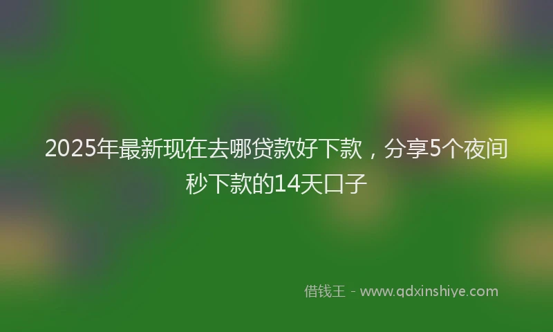 2025年最新现在去哪贷款好下款，分享5个夜间秒下款的14天口子
