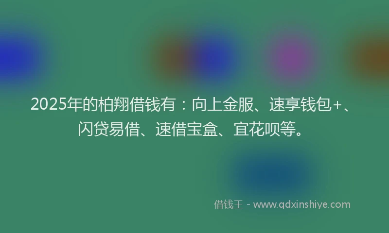 2025年的柏翔借钱有：向上金服、速享钱包+、闪贷易借、速借宝盒、宜花呗等。