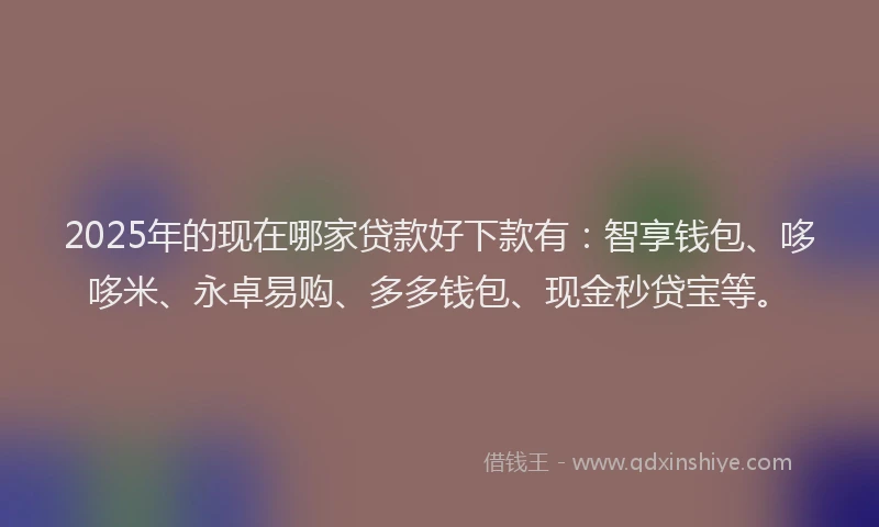 2025年的现在哪家贷款好下款有：智享钱包、哆哆米、永卓易购、多多钱包、现金秒贷宝等。