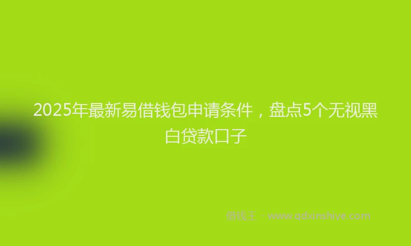 2025年最新易借钱包申请条件，盘点5个无视黑白贷款口子