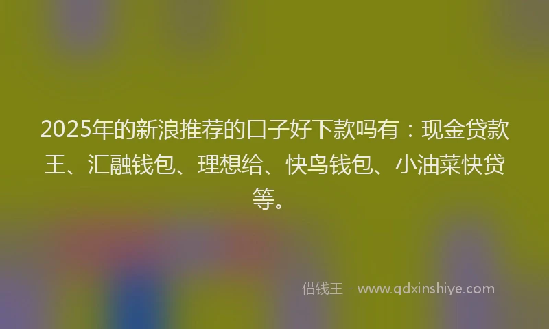 2025年的新浪推荐的口子好下款吗有：现金贷款王、汇融钱包、理想给、快鸟钱包、小油菜快贷等。