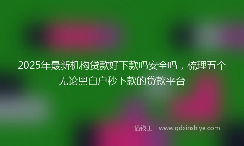 2025年最新机构贷款好下款吗安全吗，梳理五个无论黑白户秒下款的贷款平台