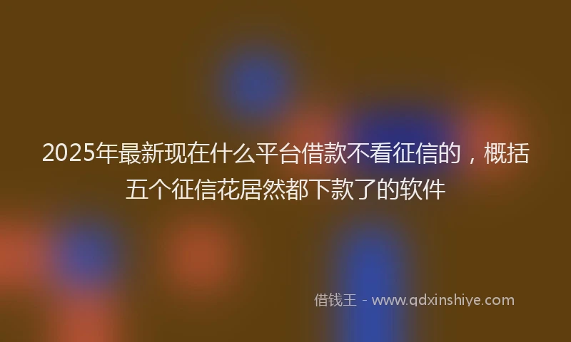2025年最新现在什么平台借款不看征信的，概括五个征信花居然都下款了的软件