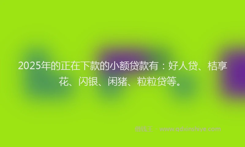 2025年的正在下款的小额贷款有：好人贷、桔享花、闪银、闲猪、粒粒贷等。