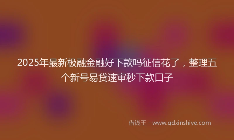 2025年最新极融金融好下款吗征信花了，整理五个新号易贷速审秒下款口子