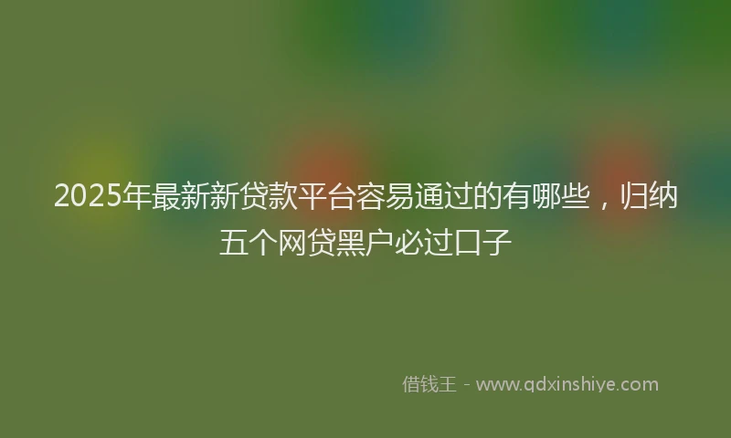 2025年最新新贷款平台容易通过的有哪些，归纳五个网贷黑户必过口子