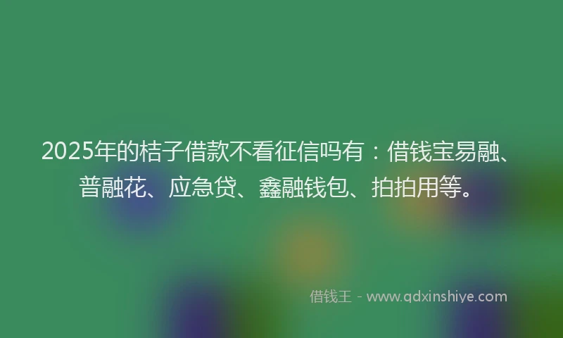 2025年的桔子借款不看征信吗有：借钱宝易融、普融花、应急贷、鑫融钱包、拍拍用等。