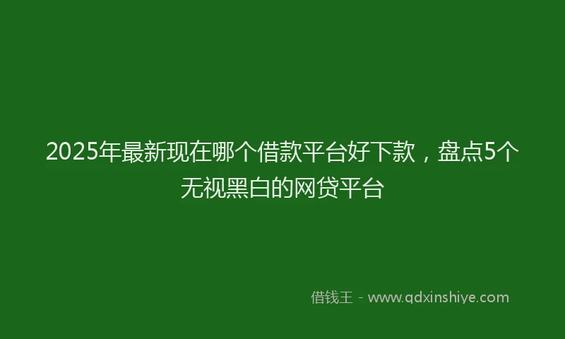 2025年最新现在哪个借款平台好下款，盘点5个无视黑白的网贷平台