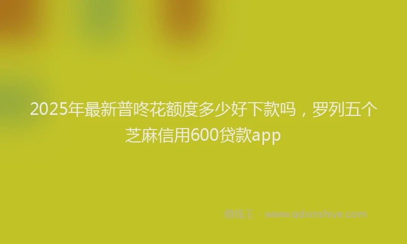 2025年最新普咚花额度多少好下款吗，罗列五个芝麻信用600贷款app