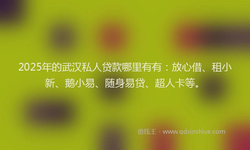 2025年的武汉私人贷款哪里有有：放心借、租小新、鹅小易、随身易贷、超人卡等。