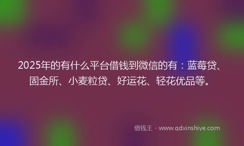 2025年的有什么平台借钱到微信的有：蓝莓贷、固金所、小麦粒贷、好运花、轻花优品等。