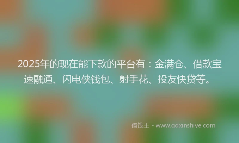 2025年的现在能下款的平台有：金满仓、借款宝速融通、闪电侠钱包、射手花、投友快贷等。