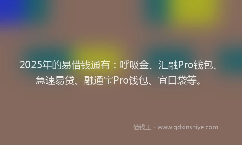 2025年的易借钱通有：呼吸金、汇融Pro钱包、急速易贷、融通宝Pro钱包、宜口袋等。